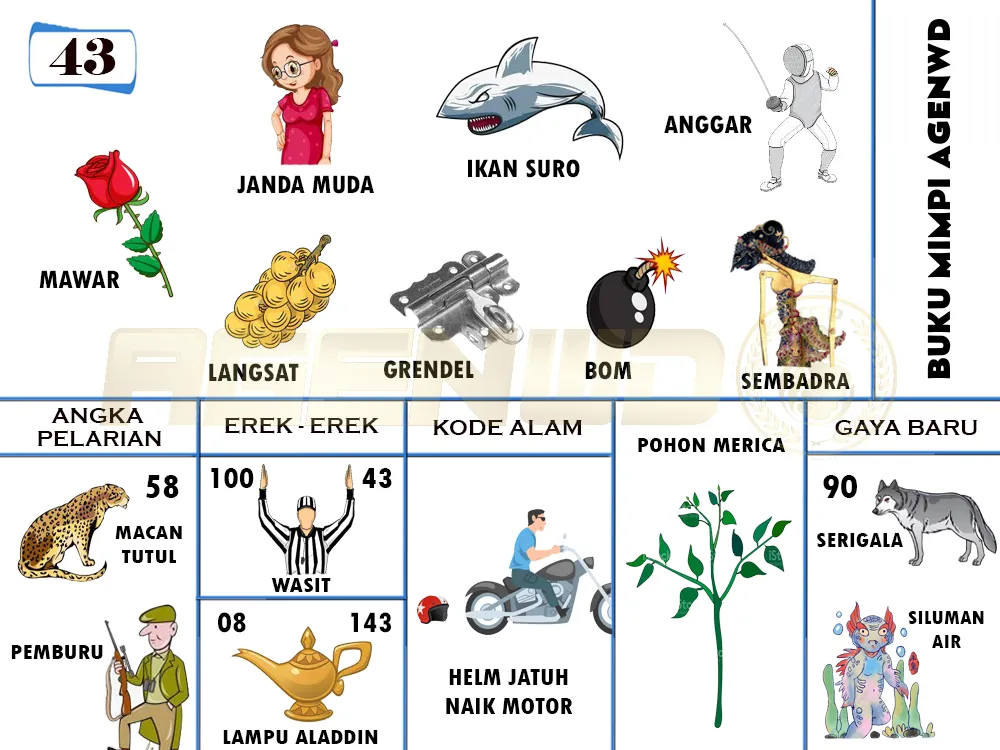 buku mimpi erek erek togel 43